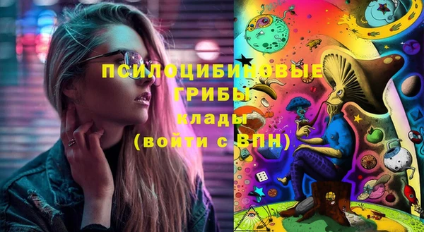меф Арсеньев