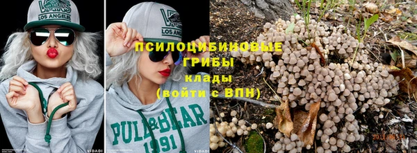 меф Арсеньев