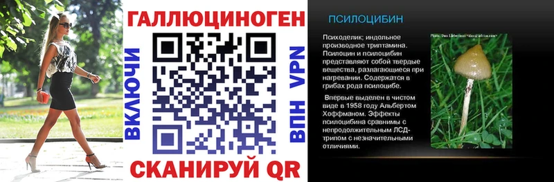 Псилоцибиновые грибы Magic Shrooms купить наркотик Ахтубинск